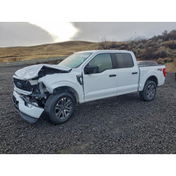 2022 FORD F-150 1FTEW1EPXNKE24832 98355395