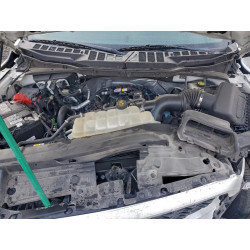 2022 FORD F-150 1FTEW1EPXNKE24832 98355395