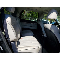 2022 HYUNDAI PALISADE KM8R7DHE6NU439970 53818306