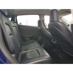 2023 TESLA MODEL Y 7SAYGDEE4PF788211 52292476