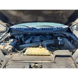 2020 FORD F150 1FTFW1E42LFB16697 53323056