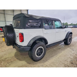 2023 FORD BRONCO 1FMEE5DP0PLB06545 55018346
