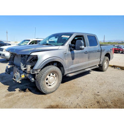 2021 FORD F150 1FTFW1E89MKE93586 53060556