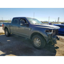 2021 FORD F150 1FTFW1E89MKE93586 53060556