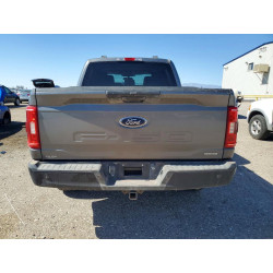 2021 FORD F150 1FTFW1E89MKE93586 53060556