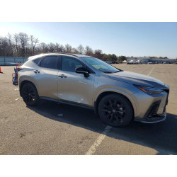 2023 LEXUS NX 2T2KGCEZ6PC031181 50856066