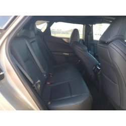 2023 LEXUS NX 2T2KGCEZ6PC031181 50856066