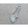 2022 TESLA MODEL Y 7SAYGDEE9NF512992 51252846