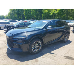 2025 LEXUS RX330 JTJCJMGA6S2025943 56258836