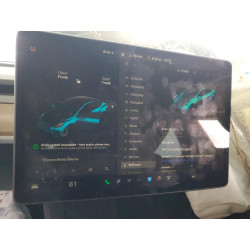 2023 TESLA MODEL Y 7SAYGDEE1PF621059 51596926
