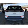 2023 CHEVROLET BOLT 1G1FY6S05P4131309 54484296