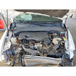 2024 DODGE HORNET ZACPDFCW6R3A30754 79196465