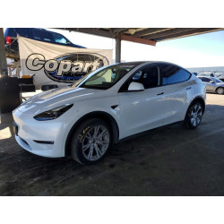 2023 TESLA MODEL Y 7SAYGDEE5PF637409 79384265