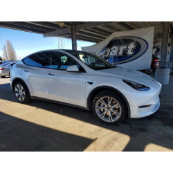 2023 TESLA MODEL Y 7SAYGDEE5PF637409 79384265