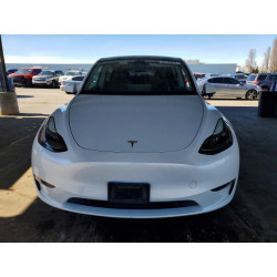 2023 TESLA MODEL Y 7SAYGDEE5PF637409 79384265