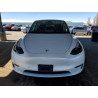 2023 TESLA MODEL Y 7SAYGDEE5PF637409 79384265