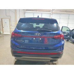 2021 HYUNDAI SANTA FE 5NMS14AJ6MH364837 56098366