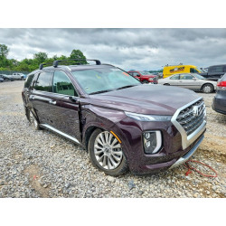 2020 HYUNDAI PALISADE KM8R5DHE7LU166072 56459586