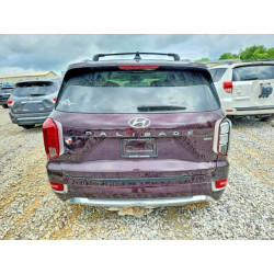 2020 HYUNDAI PALISADE KM8R5DHE7LU166072 56459586