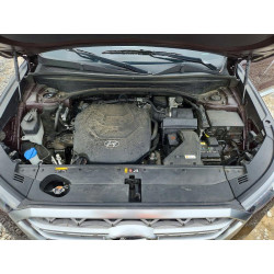 2020 HYUNDAI PALISADE KM8R5DHE7LU166072 56459586