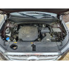 2020 HYUNDAI PALISADE KM8R5DHE7LU166072 56459586