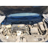 2020 HONDA CIVIC 2HGFC2F69LH595148 54173916