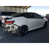 2023 NISSAN SENTRA 3N1AB8DV5PY288992 52911906