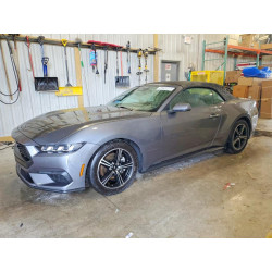 2025 FORD ALL Models 1FAGP8UH6S5105355 54333886