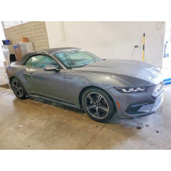 2025 FORD ALL Models 1FAGP8UH6S5105355 54333886
