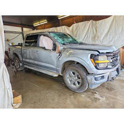 2025 FORD All Models 1FTFW3L80SKE89051 56784356