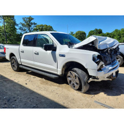2024 FORD F150 LIGHT 1FT6W3L75RWG22784 55585576