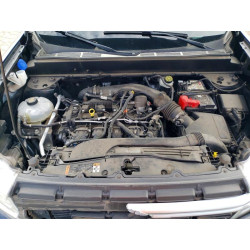 2022 FORD MAVERICK 3FTTW8F9XNRA82925 50257066