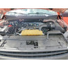 2020 FORD F-150 1FTEX1CP7LKD67650 54114916