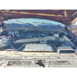 2023 FORD EXPEDITION 1FMJU1H85PEA57618 52146336