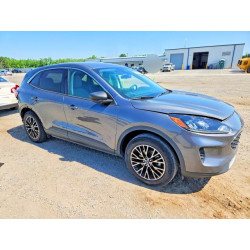 2022 FORD ESCAPE 1FMCU0EZ8NUA23921 53397096