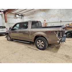 2020 FORD All Models 1FTEW1EP4LKE18179 46263806