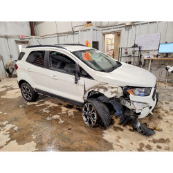 2020 FORD ECOSPORT MAJ6S3JL4LC362680 48672776