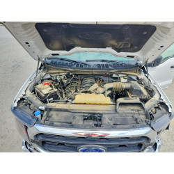 2023 FORD F-150 1FTEX1C50PKF31602 48145246