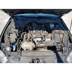 2022 FORD ALL Models 1FA6P8TH0N5131631 49112676