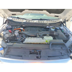 2023 FORD F-150 1FTFW1ED3PFB52016 50972856
