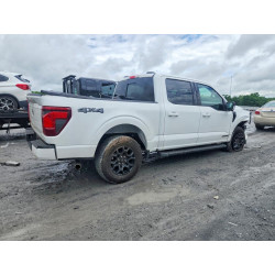 2024 FORD All Models 1FTFW3LD1RFA49436 52873806