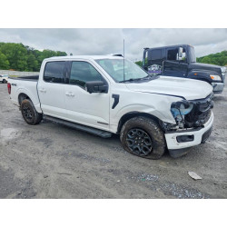 2024 FORD All Models 1FTFW3LD1RFA49436 52873806