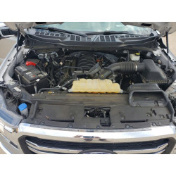 2024 FORD F150 LARIA 1FTFW5L51RFA67973 50731386