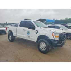 2021 FORD F-150 1FTEX1EB4MKE68616 51353436