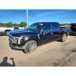 2025 FORD F150 LARIA 1FTFW5L53SFA82450 53587856
