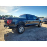 2025 FORD F150 LARIA 1FTFW5L53SFA82450 53587856
