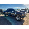 2025 FORD F150 LARIA 1FTFW5L53SFA82450 53587856
