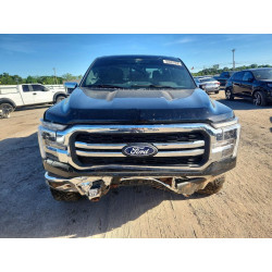 2025 FORD F150 LARIA 1FTFW5L53SFA82450 53587856