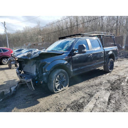 2020 FORD F-150 1FTEW1EP7LFB74309 46630346