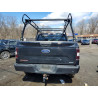2020 FORD F-150 1FTEW1EP7LFB74309 46630346
